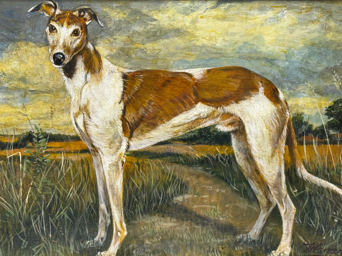 Greyhound Personality Traits Greyhound Intelligence Portrait