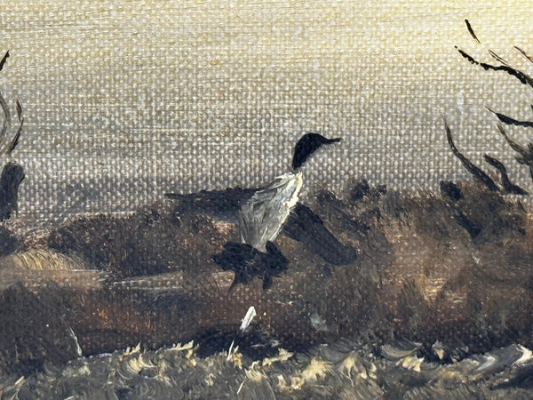 Oil Painting Canadian Ducks Pintails Flushed Out Wetlands In British Columbia By Hugh Monahan