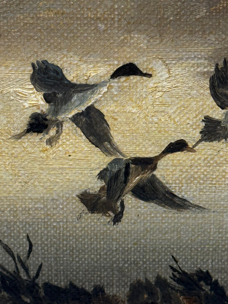 Oil Painting Canadian Ducks Pintails Flushed Out Wetlands In British Columbia By Hugh Monahan