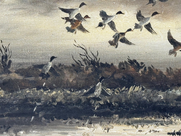 Oil Painting Canadian Ducks Pintails Flushed Out Wetlands In British Columbia By Hugh Monahan