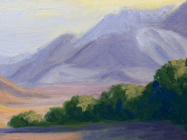 California Rancho Sisquoc Vineyard Oil Painting Memories of Foxen Canyon by Laurel Sherrie