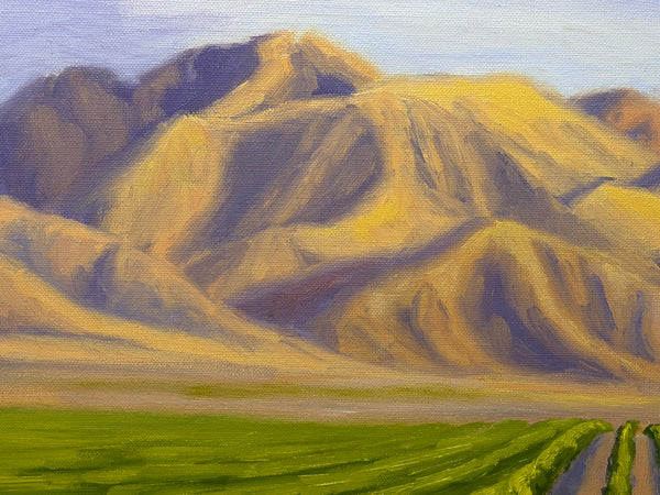 California Rancho Sisquoc Vineyard Oil Painting Memories of Foxen Canyon by Laurel Sherrie