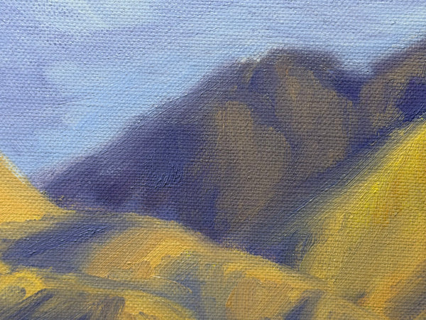 California Rancho Sisquoc Vineyard Oil Painting Memories of Foxen Canyon by Laurel Sherrie