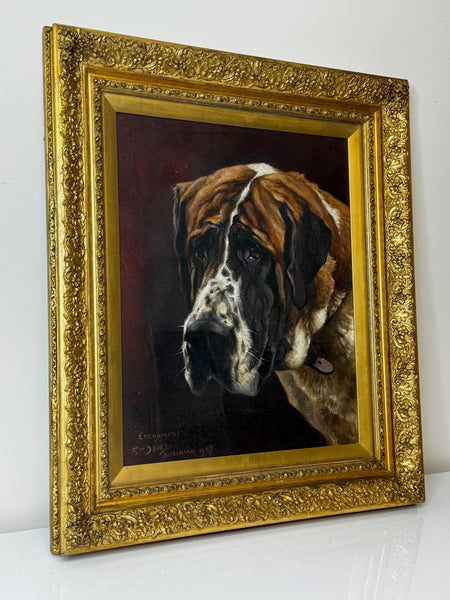 English Edwardian Oil Painting Prized Champion Saint Bernard Dog By Frederick Thomas Daws