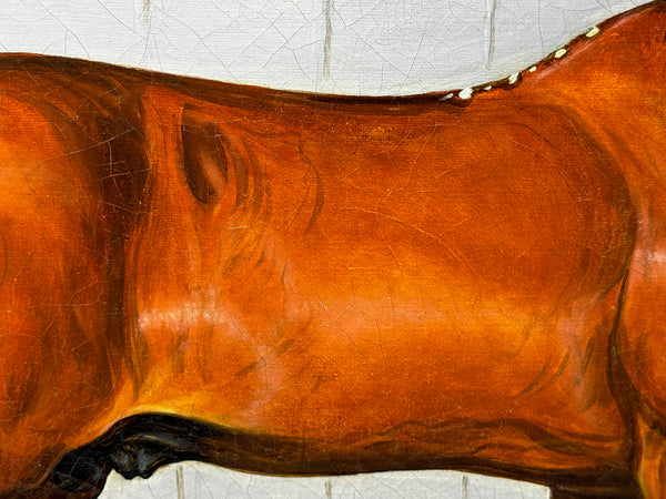 c1840 Victorian Horse Oil Portrait  William The Conqueror In Stable by Samuel Spode