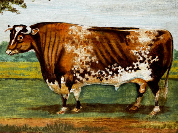 Victorian Oil Painting Prized Shorthorn Bull – British School In The Manner of William Ward
