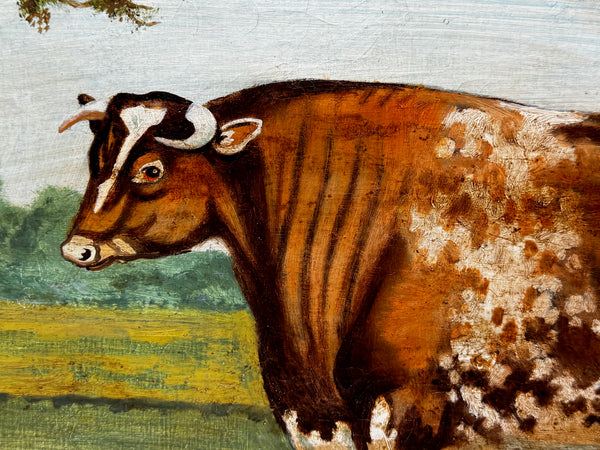 Victorian Oil Painting Prized Shorthorn Bull – British School In The Manner of William Ward