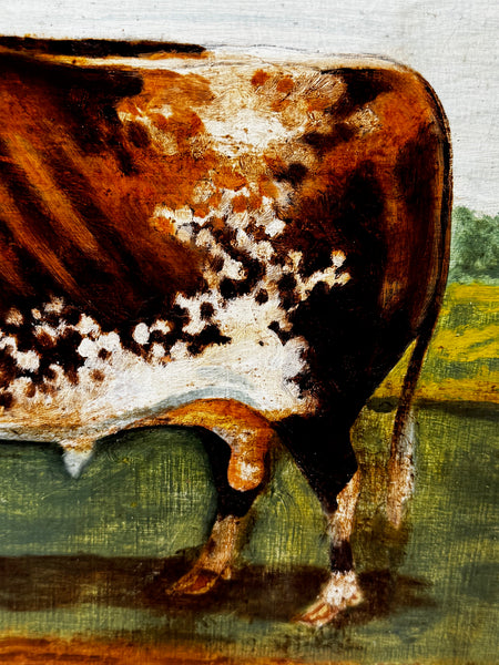 Victorian Oil Painting Prized Shorthorn Bull – British School In The Manner of William Ward