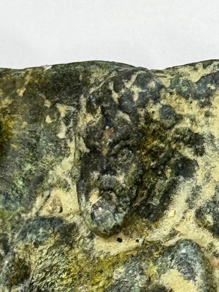 Classical Mythology Roman Bronze Plaque Mount Hercules