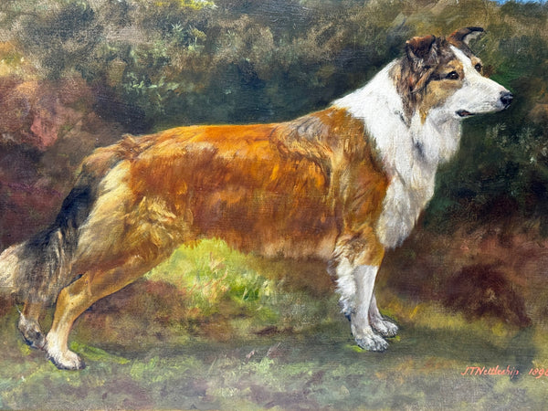Rare Domestic Dog Oil Portrait by John Trivett. Nettleship — Rough Collie in Landscape