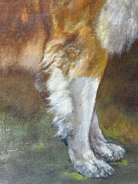 Rare Domestic Dog Oil Portrait by John Trivett. Nettleship — Rough Collie in Landscape