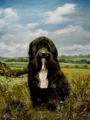 Oil Painting Prized Tibetan Terrier Dog Sitting Near Neath By Dilys Thomas