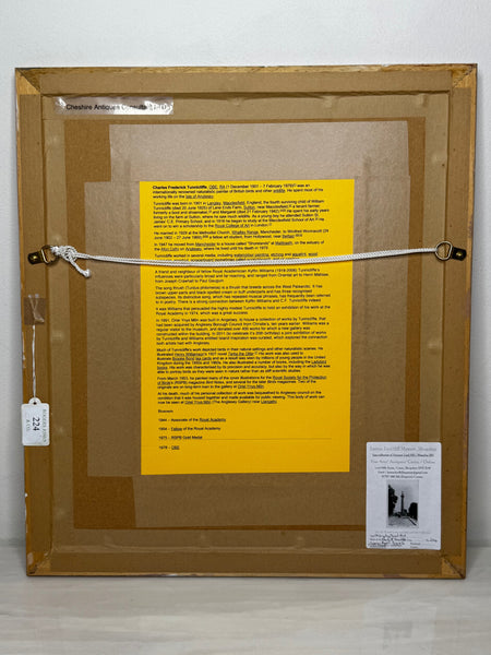 Song Thrush Bird Watercolour by Charles F. Tunnicliffe OBE RA