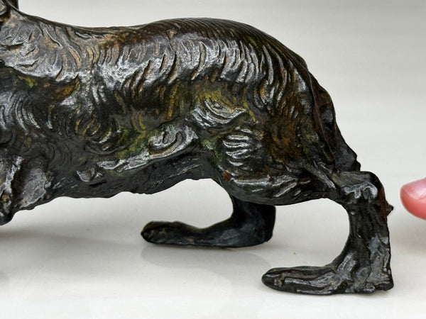 Austrian Vienna Bronze Dachshund – Solid Cast Animalier Sculpture – Circa 1900