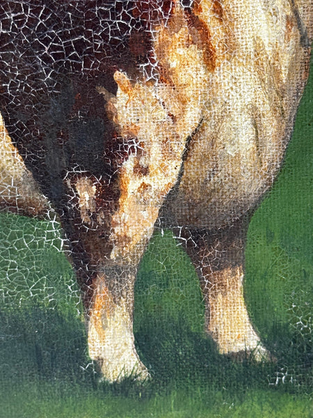 Prized Hereford Bull In the Manner of William Henry Davis