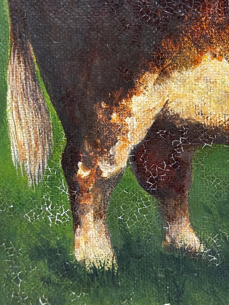 Prized Hereford Bull In the Manner of William Henry Davis