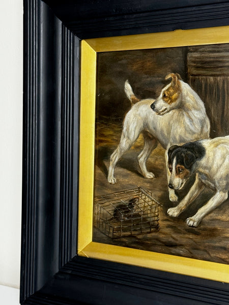 Jack Russell Terrier Dogs Ratting In Barn Guarding Caged Rat By Edward Aistrop