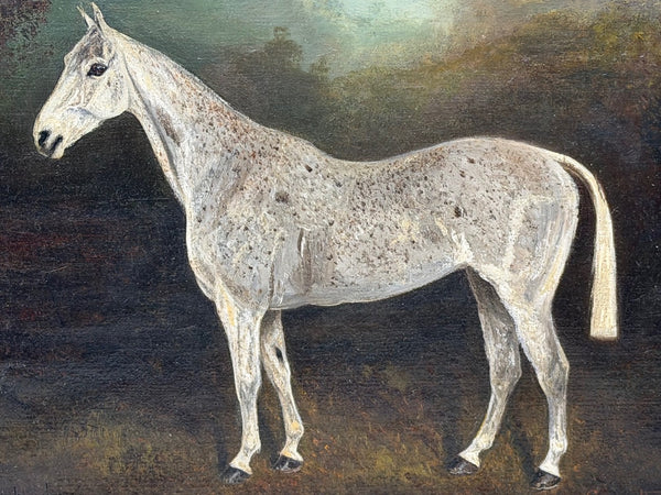 Grisette Grey Important British Sporting Oil Painting by Herbert St. John Jones
