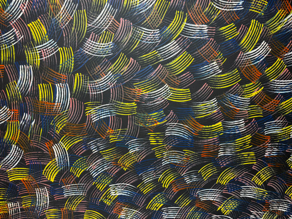 🔥 Jean Hudson Nampijinpa – Fire Dreaming Painting Signed & Authenticated Aboriginal Masterpiece