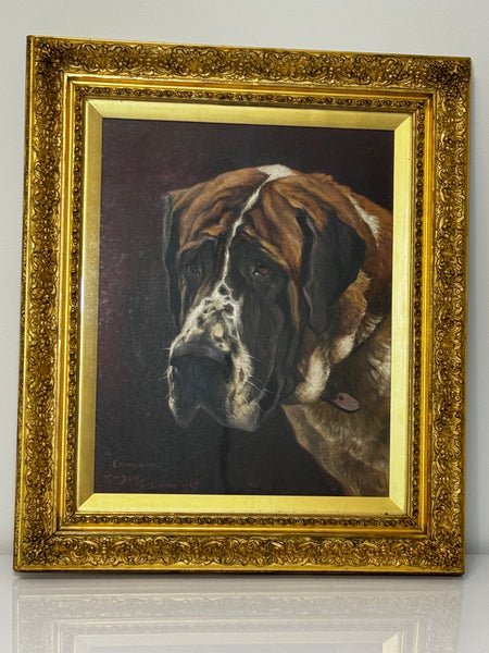 English Edwardian Oil Painting Prized Champion Saint Bernard Dog By Frederick Thomas Daws - Cheshire Antiques Consultant Ltd