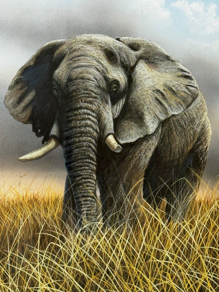 Large Painting African Bull Elephant Kruger National Park Follower Of David Shepherd - Cheshire Antiques Consultant Ltd