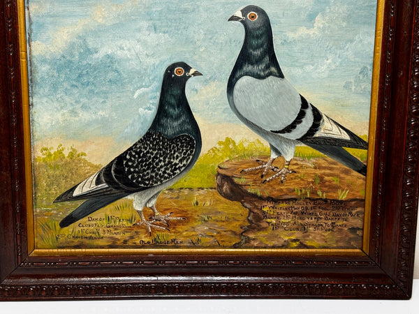 Oil Painting Northern Racing Pigeons Champions Old Badge Hen & Cock By J Brown C1930 - Cheshire Antiques Consultant Ltd