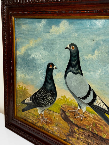 Oil Painting Northern Racing Pigeons Champions Old Badge Hen & Cock By J Brown C1930 - Cheshire Antiques Consultant Ltd