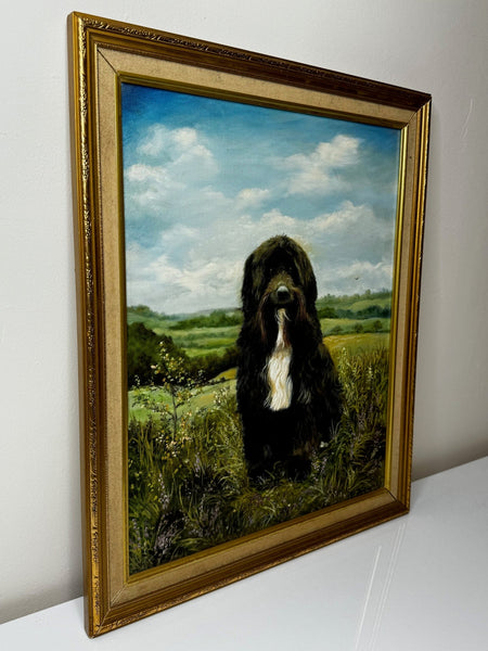 Oil Painting Prized Tibetan Terrier Dog Sitting Near Neath By Dilys Thomas - Cheshire Antiques Consultant Ltd