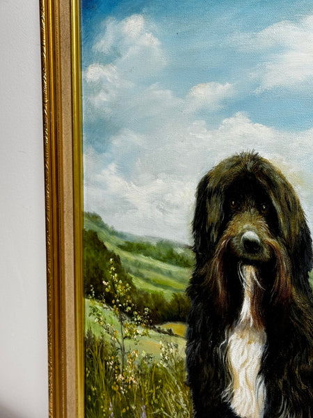 Oil Painting Prized Tibetan Terrier Dog Sitting Near Neath By Dilys Thomas - Cheshire Antiques Consultant Ltd