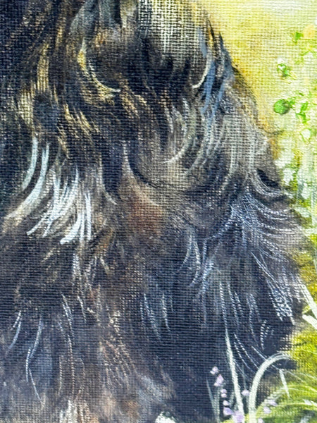 Oil Painting Prized Tibetan Terrier Dog Sitting Near Neath By Dilys Thomas - Cheshire Antiques Consultant Ltd