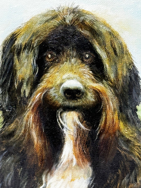 Oil Painting Prized Tibetan Terrier Dog Sitting Near Neath By Dilys Thomas - Cheshire Antiques Consultant Ltd