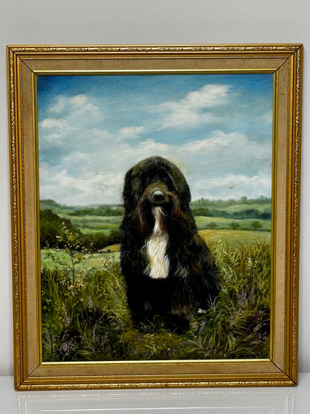 Oil Painting Prized Tibetan Terrier Dog Sitting Near Neath By Dilys Thomas - Cheshire Antiques Consultant Ltd