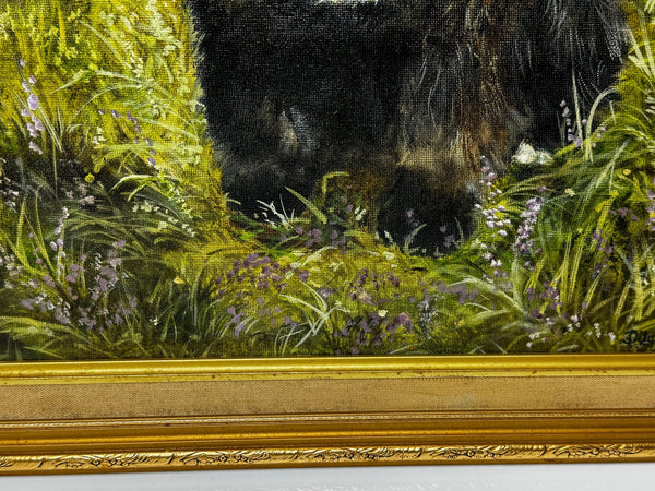 Oil Painting Prized Tibetan Terrier Dog Sitting Near Neath By Dilys Thomas - Cheshire Antiques Consultant Ltd