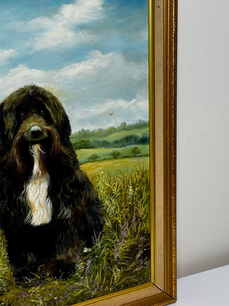 Oil Painting Prized Tibetan Terrier Dog Sitting Near Neath By Dilys Thomas - Cheshire Antiques Consultant Ltd