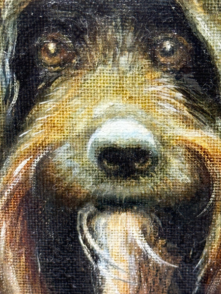 Oil Painting Prized Tibetan Terrier Dog Sitting Near Neath By Dilys Thomas - Cheshire Antiques Consultant Ltd