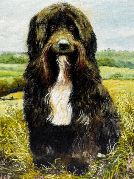 Oil Painting Prized Tibetan Terrier Dog Sitting Near Neath By Dilys Thomas - Cheshire Antiques Consultant Ltd