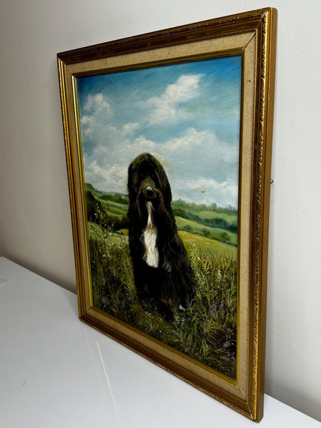 Oil Painting Prized Tibetan Terrier Dog Sitting Near Neath By Dilys Thomas - Cheshire Antiques Consultant Ltd