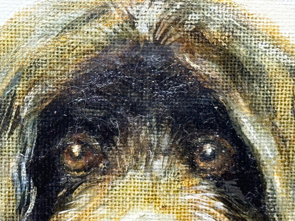 Oil Painting Prized Tibetan Terrier Dog Sitting Near Neath By Dilys Thomas - Cheshire Antiques Consultant Ltd