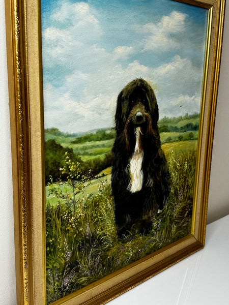 Oil Painting Prized Tibetan Terrier Dog Sitting Near Neath By Dilys Thomas - Cheshire Antiques Consultant Ltd