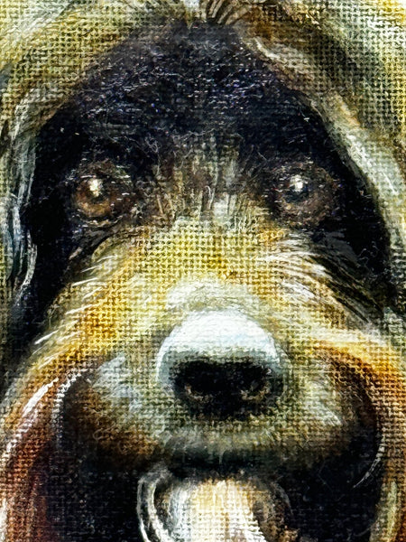 Oil Painting Prized Tibetan Terrier Dog Sitting Near Neath By Dilys Thomas - Cheshire Antiques Consultant Ltd