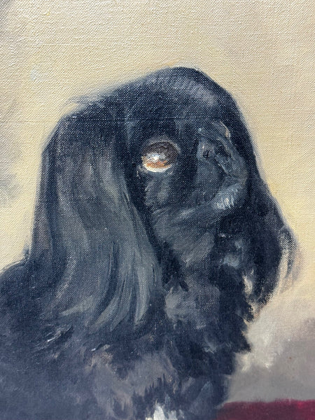 Postwar Oil Painting Prized Pekingese Dog Watching A Butterfly By Paul Desmond Fitzgerald - Cheshire Antiques Consultant Ltd