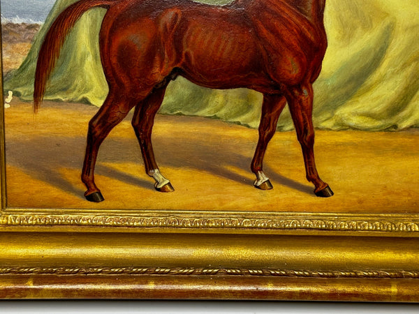 Victorian Oil Painting Purebred Red Chestnut Arab Horse Bombay Stables India - Cheshire Antiques Consultant Ltd