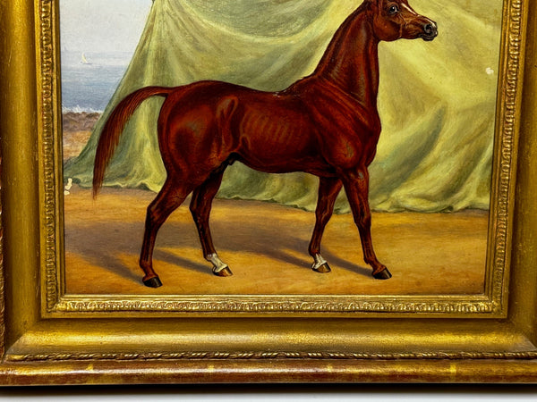 Victorian Oil Painting Purebred Red Chestnut Arab Horse Bombay Stables India - Cheshire Antiques Consultant Ltd