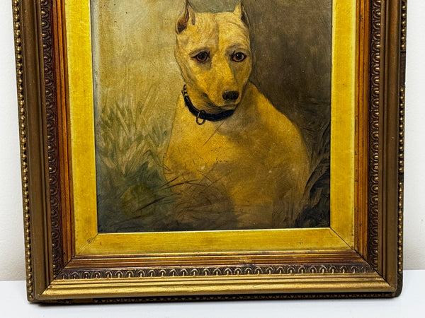 Victorian Oil Painting Sad White English Terrier Dog Follower Of John Emms - Cheshire Antiques Consultant Ltd