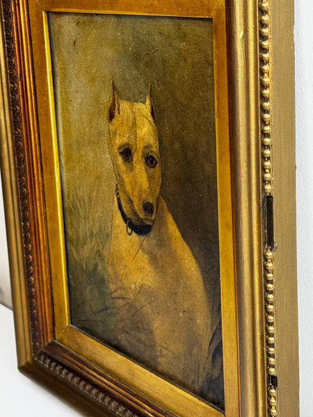 Victorian Oil Painting Sad White English Terrier Dog Follower Of John Emms - Cheshire Antiques Consultant Ltd