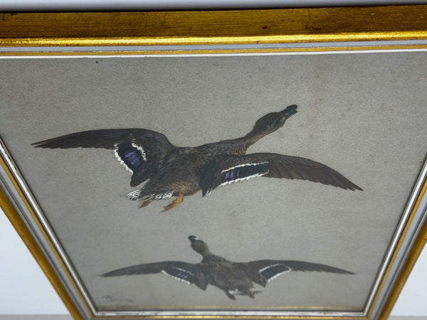 Victorian Painting Game Birds Two Ducks Flying Away By Thomas Blinks - Cheshire Antiques Consultant Ltd