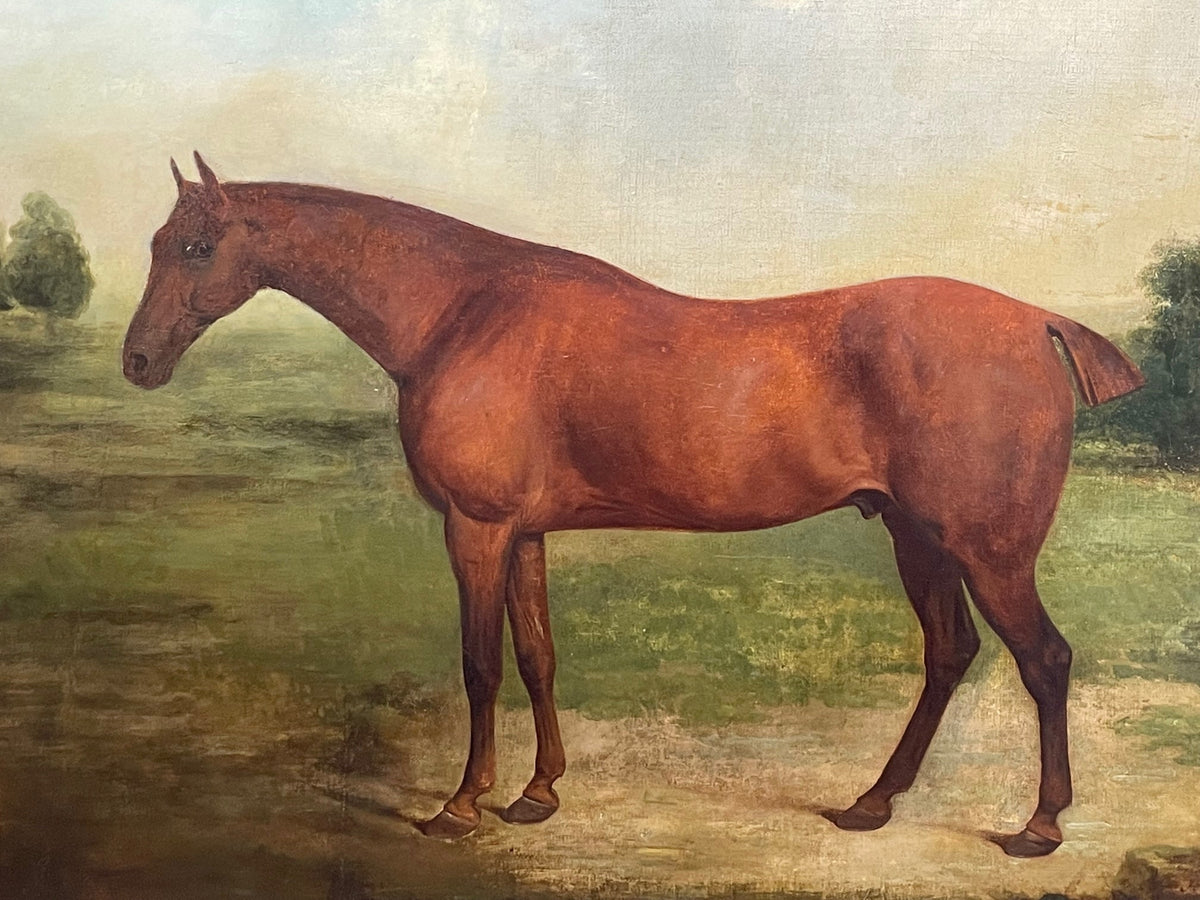🐎 Georgian Oil Painting English Horse Portrait “Partisan” by James ...