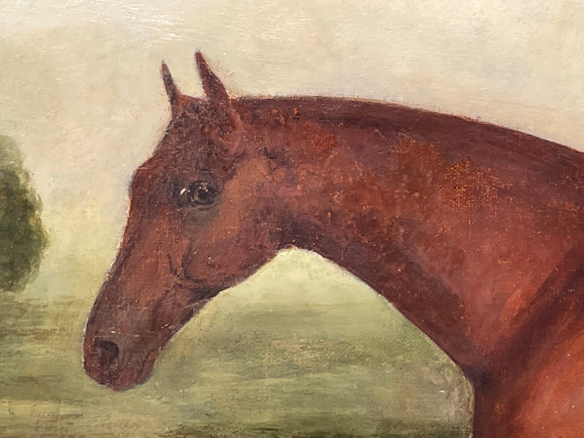 🐎 Georgian Oil Painting English Horse Portrait “Partisan” by James ...