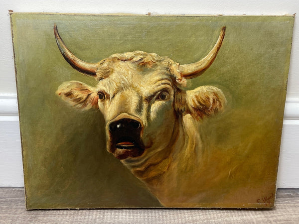 19th Century Oil Painting "Prized Country Farm Bull" Portrait - Cheshire Antiques Consultant