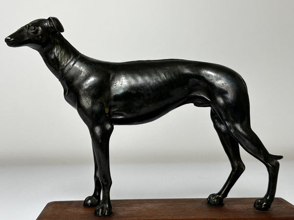 Art Deco Sporting Prized Racing Greyhound Stud Bronze Sculpture - Cheshire Antiques Consultant